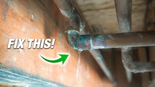 How To Fix ANY Pipe Leak 2 BEST Ways For DIY Plumbing [upl. by Philan]