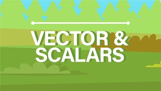 What are Vector and Scalar Quantities [upl. by Neelear985]