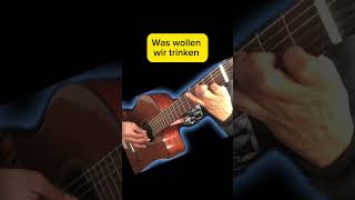 waswollenwirtrinken guitar viral deutscheslied acoustic following [upl. by Hsizan]