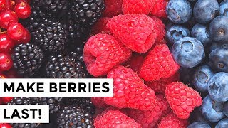 How to Keep Berries Fresher Longer  How to Wash Berries so They Last [upl. by Carlin497]