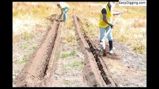 The Race Bottom Digger versus a Trenching Shovel [upl. by Leavelle39]