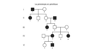 La généalogie en génétique [upl. by Bobker]