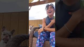 When I Find Something Funny bretmanrock funny bretmanicon shorts [upl. by Sykes]