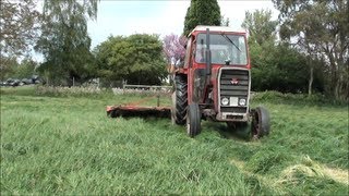 mowing for silage with an MF 265 and Fahr mower [upl. by Hermina]