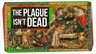 Could the Plague Rise Again [upl. by Ramona]