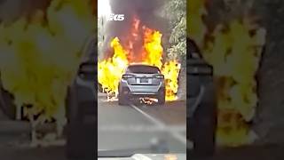 Kitsap Co deputy saves man and dog from burning car [upl. by Lasonde223]