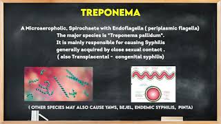 Micro30 The SpirochaeteTreponemaTreponema pallidum Medical Microbiology Kukreja Girish P shorts [upl. by Daley]