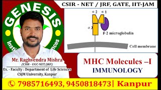 Immunology  MHC Molecules LIFE SCIENCES  GATE  CSIRNETJRF GENESIS INSTITUTE [upl. by Ailegra]