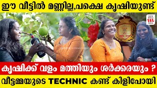 2 സെന്‍റില്‍ മൂന്ന് നില വീട് കൃഷിയിറക്കാൻ മണ്ണില്ല സ്റ്റെപ്പിൽ കൃഷിയിറക്കി വീട്ടമ്മ  Mini [upl. by Hoeve]