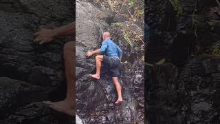 Highfields Falls trail nature climbing shower life queensland relaxing [upl. by Liborio143]