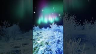 quotExperience the Magical Aurora amp Frosty Landscapes in West Virginia AuroraMagic [upl. by Seaton239]