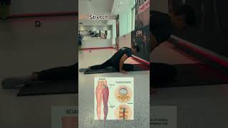 physiotherapy exercises for back pain gym exercise workout motivation [upl. by Alle]