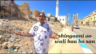 Shingaani oo Wali Baa Ba San PART 2 DHAMAAT 🇸🇴 [upl. by Oecile]