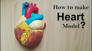 How to make Human Heart Model  Part 12 [upl. by Emelda]