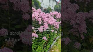 Sonning Village Berkshire asmr englishcountryside naturelovers naturephotography nature uk [upl. by Earized]