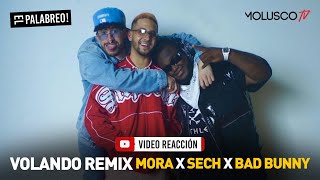 Volando remix MORA  SECH BAD BUNNY VideoReaccion ElPalabreo [upl. by Elacim]