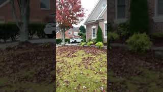 Snellville Georgia Landscape Makeover landscapegardening gardening garden landscapegardener [upl. by Riancho]