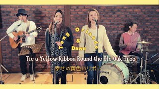 【70’s】歌詞付 幸せの黄色いリボン【Cover】Tie a Yellow Ribbon Round the Ole Oak Tree  Tony Orlando amp Dawn [upl. by Guimar]