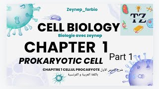 📍chapitre 1 Biologie cellulaire  La cellule procaryote part 1📍SNVmédecine agronomie شرح مبسط [upl. by Ammann701]