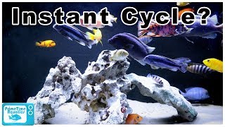 How to Cycle a Fish Tank FAST [upl. by Jacinto443]