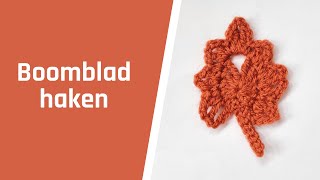 Een boomblad haken [upl. by Brendin]