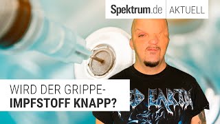 Wird der GrippeImpfstoff knapp [upl. by Subocaj]