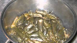 Moms Chaldean Dolma  Cooking Recipe  How to make The Best Stuffed Grape Leaves on Planet Earth [upl. by Hughes]