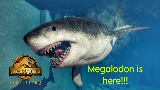 THE MEGALODON SHARK IS HERE JWE2 [upl. by Animlehliw]