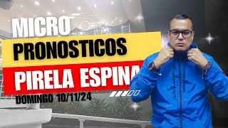 HIPISMO MICRO PRONÓSTICOS👻Domingo 10 Noviembre 2024  La Rinconada Con Leonardo Pirela Espina 👻 [upl. by Judie]