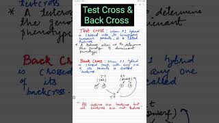 💥🔥 Test Cross amp Back Cross💯  backcross testcross [upl. by Thanh]