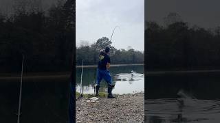 COMBATTIMENTO con uno STORIONE BIANCO 20 kg fishing fishingvideo sturgeon [upl. by Berthold943]