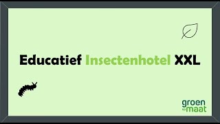 Video Educatief Insectenhotel XXXL [upl. by Bencion]