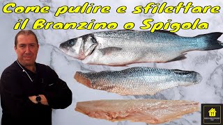 Come pulire e sfilettare il Branzino o Spigola [upl. by Torre]