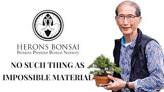 How to make Bonsai from Impossible Material [upl. by Eelyab335]