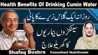 Amazing Health Benefits Of Cumin Seeds Water In Urdu [upl. by Tychon]