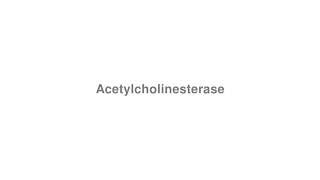 How to Pronounce quotAcetylcholinesterasequot [upl. by Werra419]