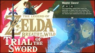 The Legend of Zelda Breath of the Wild  Extra Champion Cutscenes DLC 2 [upl. by Eerb]