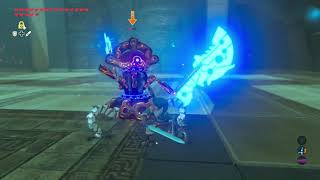 The Legend of Zelda Breath of the Wild  Mozo Shenno Shrine Santuario de Aymosh [upl. by Nemlaz896]