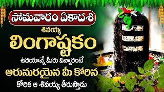 సోమవారం రోజు లింగాష్టకం ఉదయాన్నే విన్నారంటే అరునురయైన మీ కోరిక ఆ శివయ్య తీరుస్తాడు  Lingastakam [upl. by Anivram]