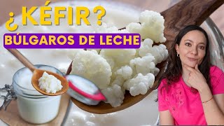 👍Beneficios de los búlgaros de leche kefir balanceandolavida [upl. by Asselim252]