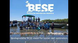 Biodegradable BESEmesh for oyster reef restoration [upl. by Alethea]