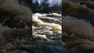 Лосевские пороги ленинградскаяобласть водныйтуризм пороги river shorts flow [upl. by Amora]