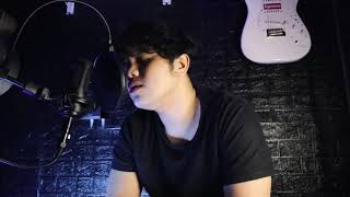 Pillow talk by Zayn Malik Dionela Cover [upl. by Let621]