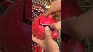 How to cut pomegranate well freshfriut cuttingfruit fruitcutting [upl. by Eatnuahs]