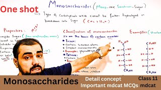 Monosaccharide  One shot Classification of carbohydrates  class 11  in Urdu  Hindi medium [upl. by Rosanna801]