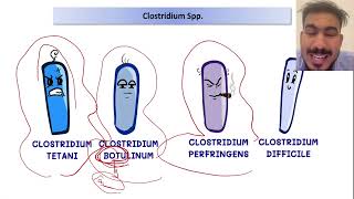 S4 L2 Some Examples of Nosocomial Infections [upl. by Thomasina261]