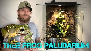 Magnificent Tree Frog Paludarium With LED UVBFoggerDrip wallRain system [upl. by Eamon969]