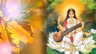 Saraswati Dwadash Naam Stotram lyrics saraswatidwadashnaamstotra saraswati12naam SaraswatiStotram [upl. by Sula497]