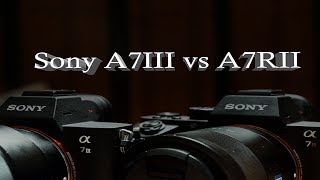 Sony A7III vs A7RII [upl. by Auguste]