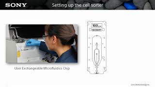 Cell Sorting for Multiple Applications How to Optimize your Sort Setup [upl. by Almallah390]